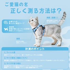 Rabbitgoo Cat Harness, Leash Set, Ultra-Small Dogs, Small Dogs, Hard to Fall Off, Soft Chestplate, Lightweight, Put On Without Lifting Legs, Adjustable Size, Night Reflection, Breathable Mesh