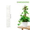 Plant Plastic Moss Pole Moss Supports Climbing Plant Poles Tortoise