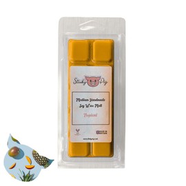 Medium Wax MELT Clamshell BAR - Snap Tart Handcrafted Soy Wax Vegan Long Lasting Highly Scented Handmade Wax Melts (Tropical)