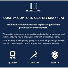 Hamilton Double Thick Nylon Buckle Dog Collar for Medium & Large Dogs, 1" Wide x 32" Neck, Blue