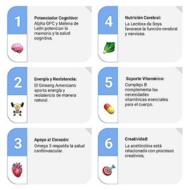 Sapientia Studia Nootrópico 100% natural - Complejo B, Leticina de Soya, Alpha GPC, Ginseng, Melena de León, Omega 3