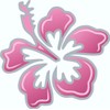 carstyling XXL Hibiscus Flower Sticker 180 x 160 mm Pink/Silver