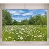 CORFOTO 5x3ft Fabric White Daisies Field Backdrop Daisy Flower Background