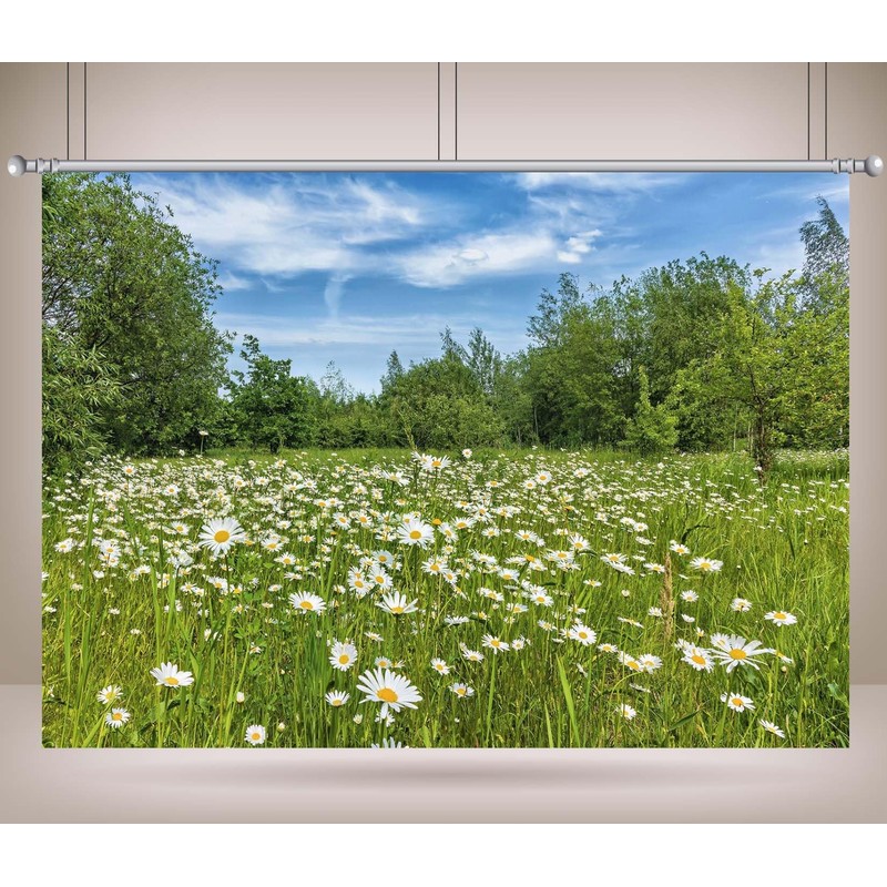CORFOTO 5x3ft Fabric White Daisies Field Backdrop Daisy Flower Background