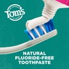 Tom’s of Maine Antiplaque and Whitening Fluoride Free Toothpaste, Spearmint