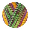 Opal OP220-1-11313 Sock Yarn, 11313, 1 x 100 g