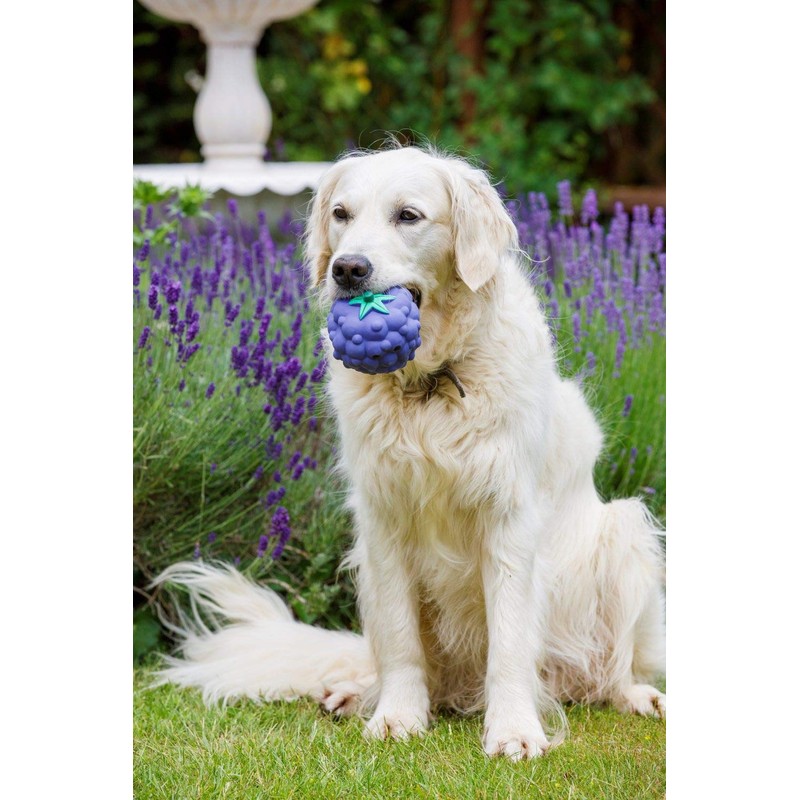 Petface Latex Blackberry Soft Chew Dog Toy, Small