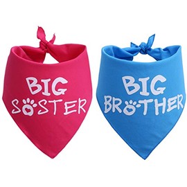 Big Brother Big Sister Dog Bandana 2 Pack