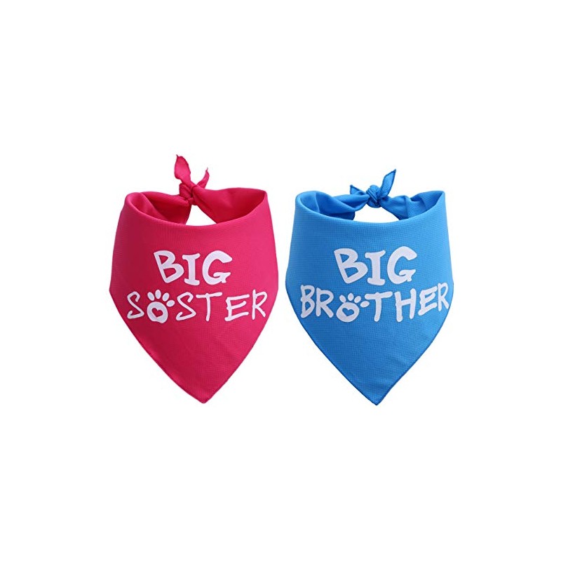 Big Brother Big Sister Dog Bandana 2 Pack