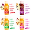 Vive Organic Immunity Boost Shot Sampler Pack | Immunity Boost