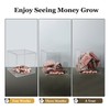 Clear Acrylic Money Box Not to Open 10 x 10