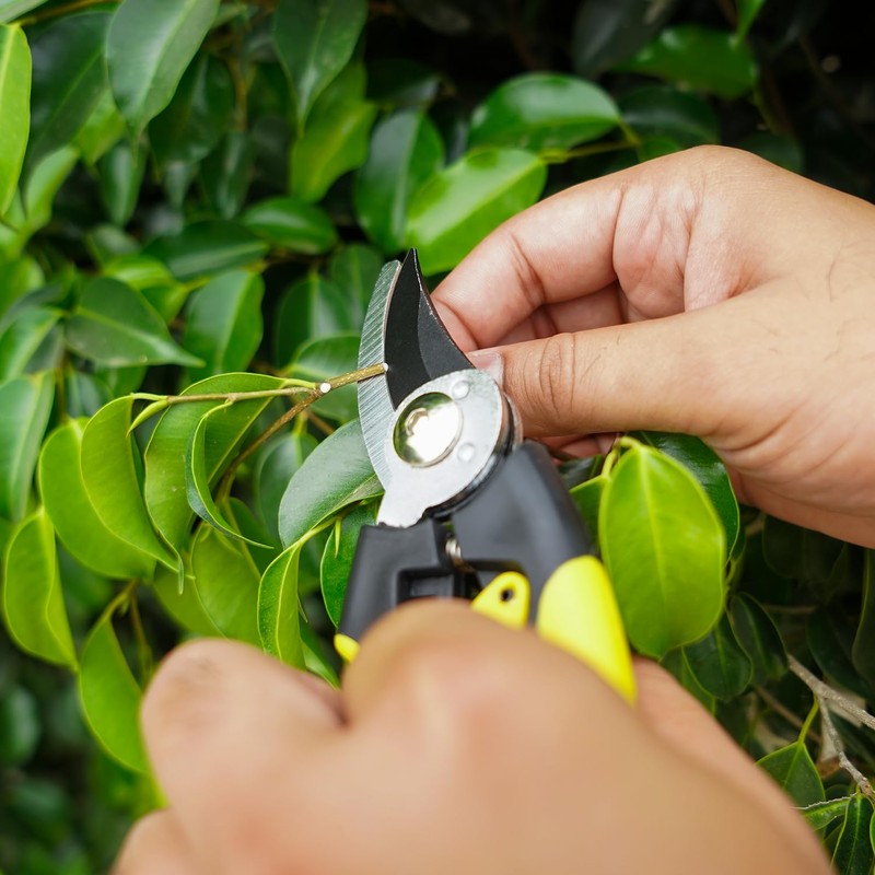 Ergonomic Compact Bypass Pruner – Heavy Duty Rust-Resistant Garden Secateurs