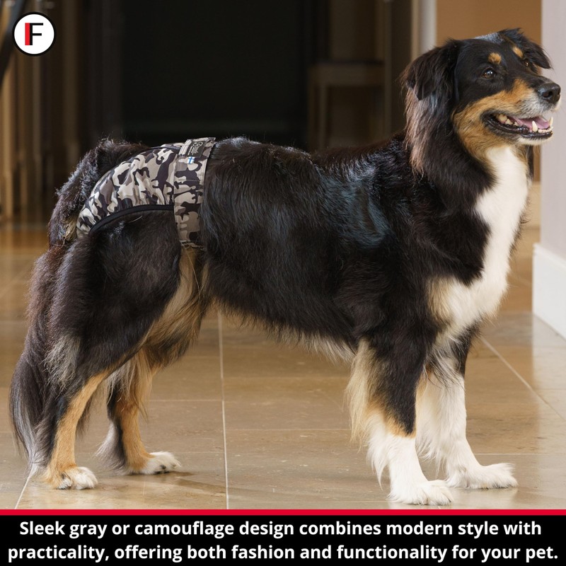 FINNERO Brenda Reusable Dog Diaper, Leak-Proof, Adjustable, Heat & Incontinence