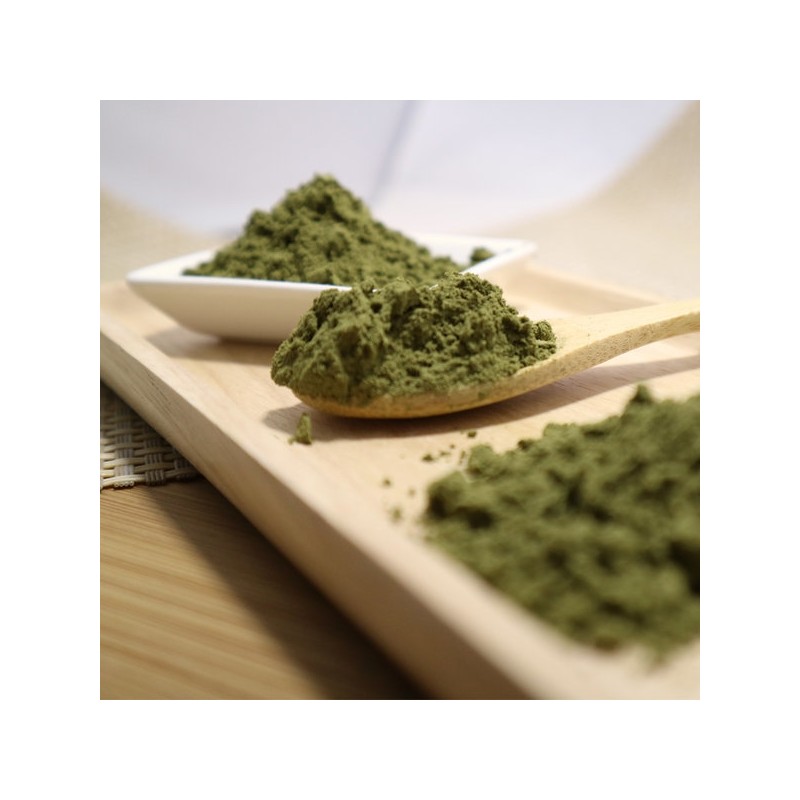 Graviola powder 500g (Indonesia) pills, etc. / 그라비올라 분말 가루