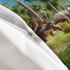 AILONEN Kids 3D Dinosaur Duvet Cover Set Full Size,Tropical Dinosaur