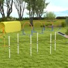 PawHut Adjustable Dog Agility Training Obstacle Course Set with Weaves