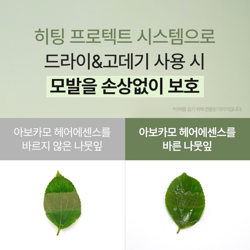 아보카모 극손상모 헤어팩 헤어에센스 세트 Avocado Extreme Damage Hair Pack