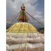 Guru-Shop Tibetan Prayer Flags in Various Lengths 25 Pennants /