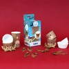 PME Cupcake Decorating Kit with Edible Toppers, Reindeer