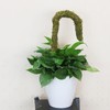 Moss Pole Bendable Safe Moss Plant Rod Plant Support Gardening