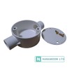 White 20mm PVC Conduit Box 2 Way Through Terminal Box