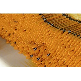 Neocolor I Water-Resistant Wax Pastels, 15 Colors