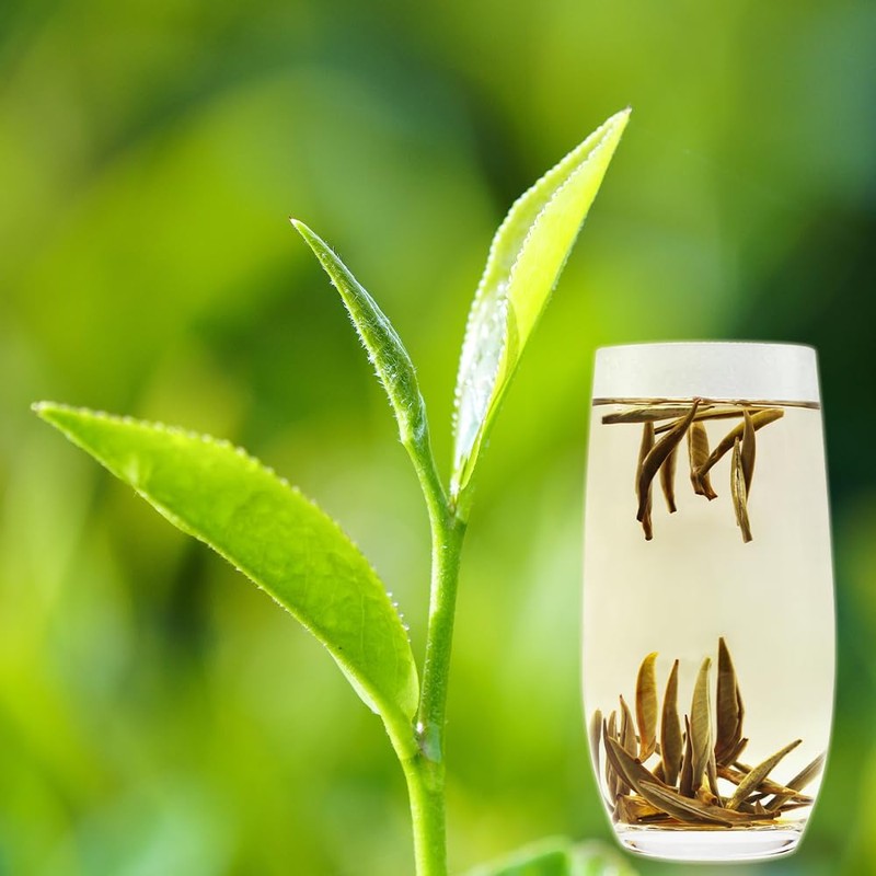 LWXLJMJZC-2.8oz/80g Silver Needle White Tea | Chinese Silver Tips Loose