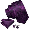 Barry.Wang Men's Silk Paisley Ties with Handkerchief Cufflink Tie Set