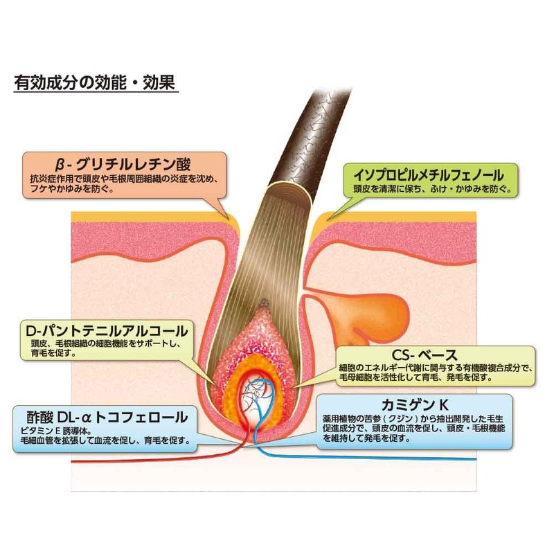 Lady Chic Beauty Essence (Unscented) 6.1 fl oz (180 ml)