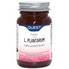 Quest L Plantarum - 90 Capsules