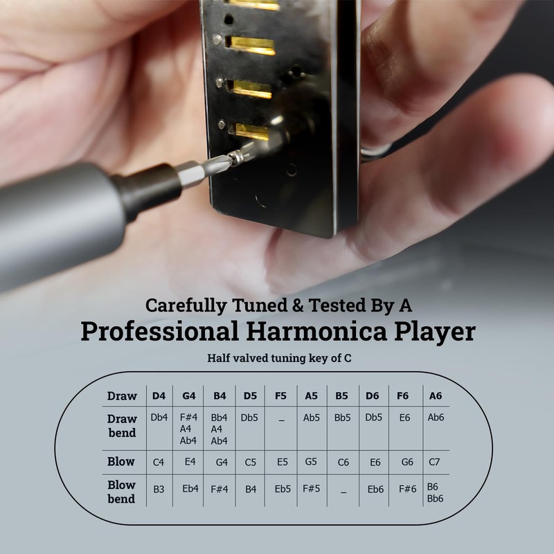Diatonic harmonica HARMO POLAR key of F Valved - Harmonica