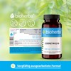 BIOHERBA Q10 Kapseln C 300 St1ck hochdosiert mit Coenzym Q10