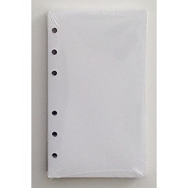 356BLANK 3-1/2 x 6 inch White Filler Paper for little 6-Ring Binder L46032, Pack of 100 Sheets