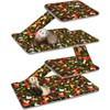 Bienbee Ferret Cage Liner Set for Ferret Nation & Critter