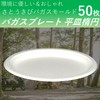 Disposable Dishes Eco Durable Bagasse Plates Oval 50 Count Barbecue