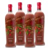 Ningxia Red 4 Botellas