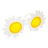 Daisy Sunnies