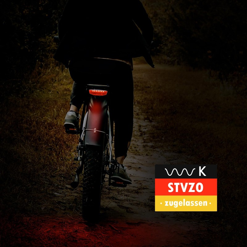 Zeekpowa Bicycle Rear Light with Brake Light Function - LED