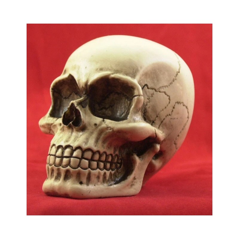 BawdyPartz m10-1.5 Large Skull Gear Shift Knob Hot Rat Street