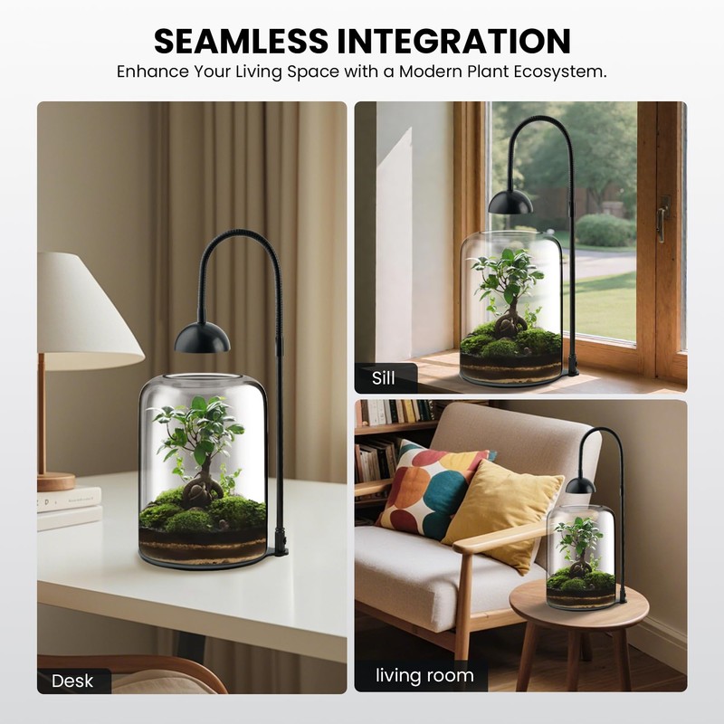 Glass Plant Terrarium, LED Grow Light, Adjustable Ventilation