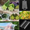 2PCS Cucumber Styling Growth Mold Plastic Heart Shaped Five-Pointed Star
