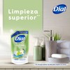 DIAL Repuesto de jabón líquido para manos, Uva & Pera,