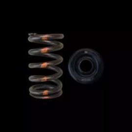 Brian Crower Single Valve Springs Steel Retainers Fits Mazda MZR Duratec 2.3/2.5