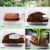 Riare 4 Pack Coco Chips Substrate for Plants- 4.4lb 100%