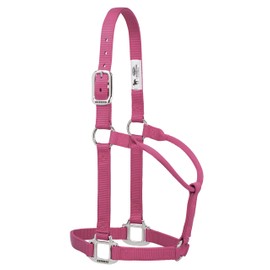 Weaver Leather 35-7385-BH Original Non-Adjustable Nylon Halter with Chrome Plated Hardware, Blush, 1" Average Horse