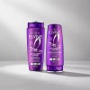 Elvive Colágeno Lifter 680ml Shampoo + Acondicionador