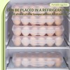 Egg Box 18 Eggs, Egg Storage Fridge Egg Storage Made