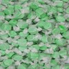 Smarty Stop Salt Water Taffy Every Color (Green Apple, 1