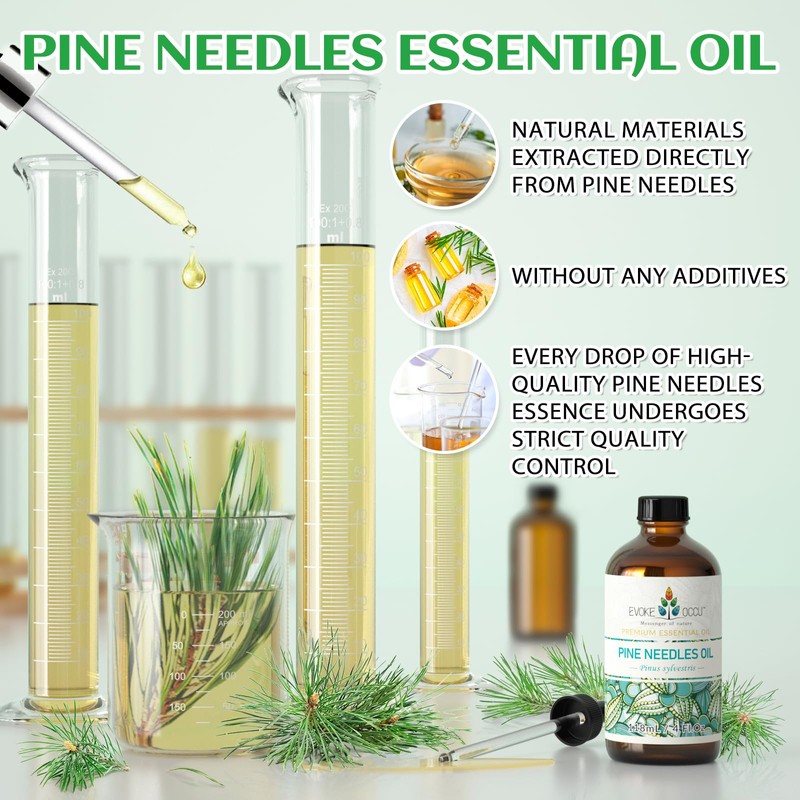 EVOKE OCCU Pine Essential Oil for Home Diffuser Fragrance DIY