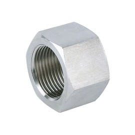 Pysrych Stainless Steel 304 Forged Pipe Fitting, Hex End Cap, 3/4" NPT Female, Class 3000 (Pack of 1)